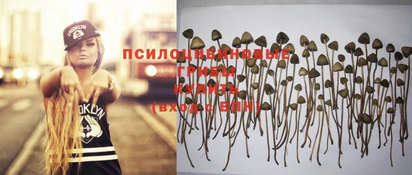 синтетический гашиш Алексеевка