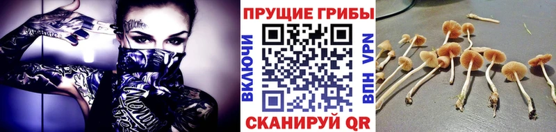 закладки  kraken зеркало  Галлюциногенные грибы ЛСД  Первоуральск 
